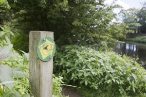 bellway yarm 3a.jpg